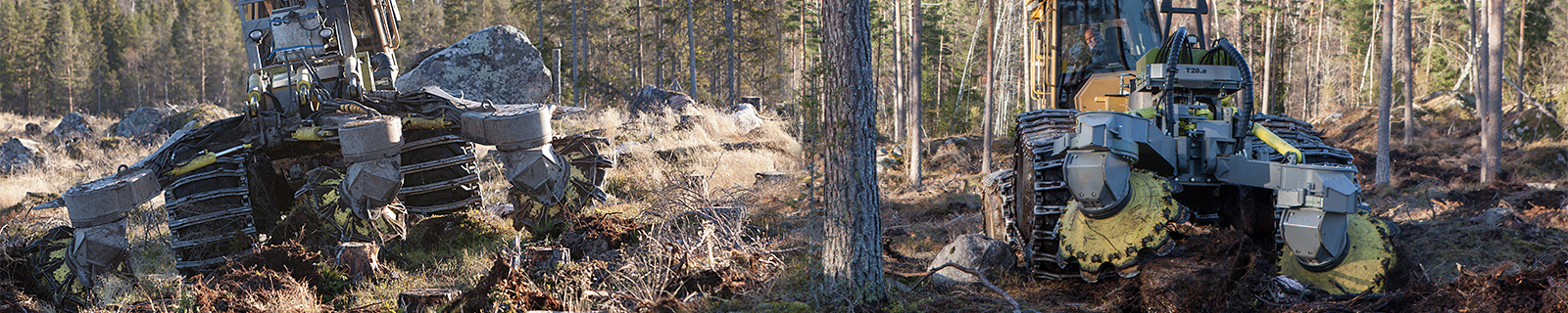 Bracke Forest - Disc trencers