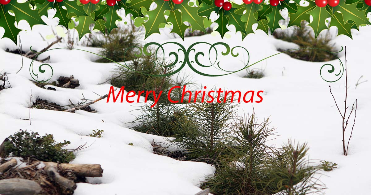 Happy new year 2014